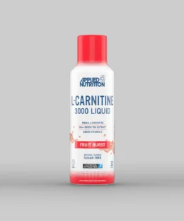 AN L CARNITINA 3000 480ML