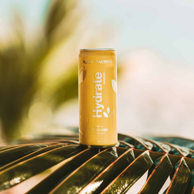 Hydrate Cocowater Ginger 330ml - Imagen 3