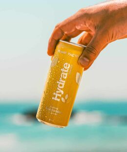 Hydrate Cocowater Ginger 330ml